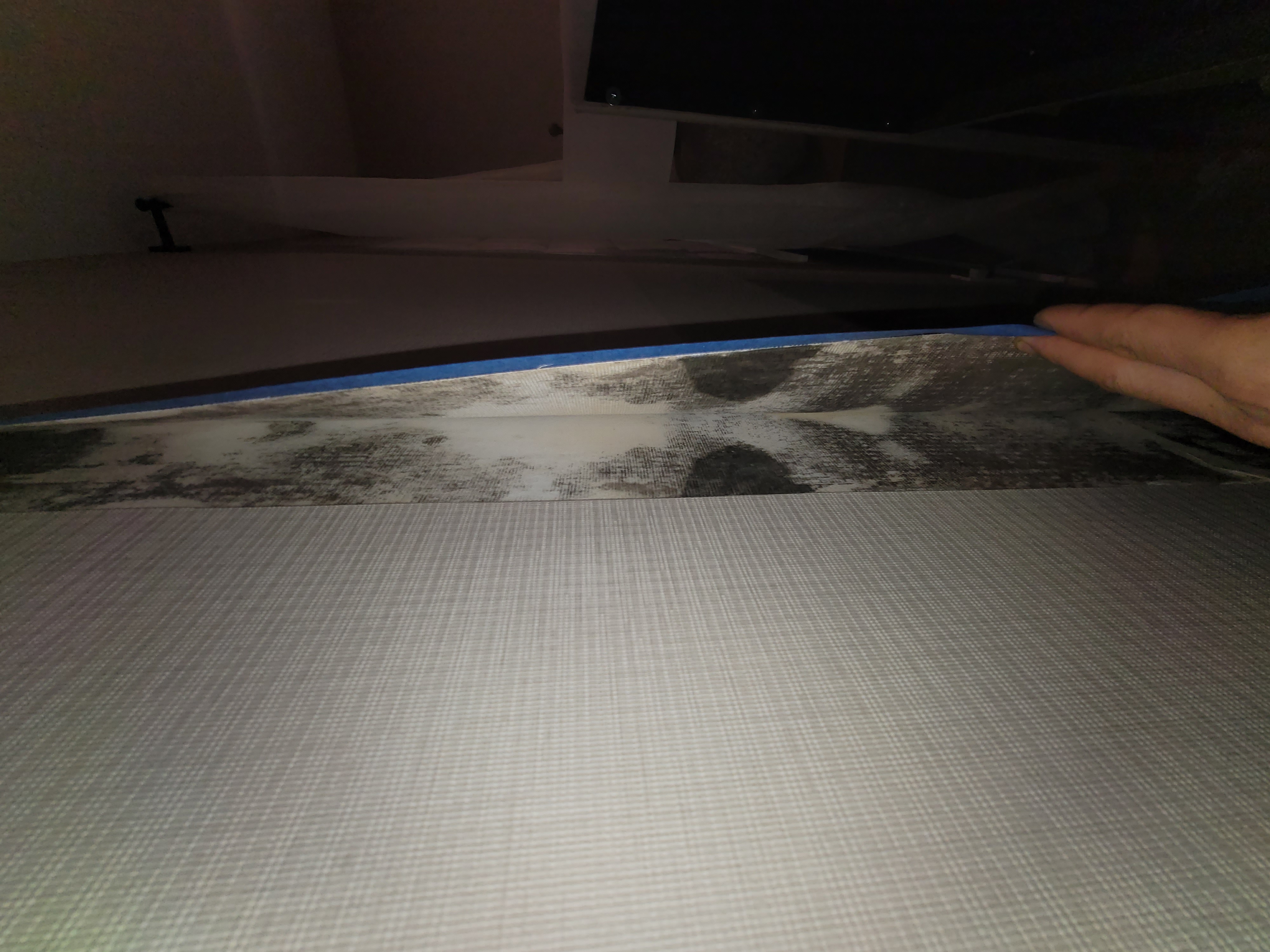 Hidden mold discovered during professional inspection - a common cause of pet respiratory issues in South Florida