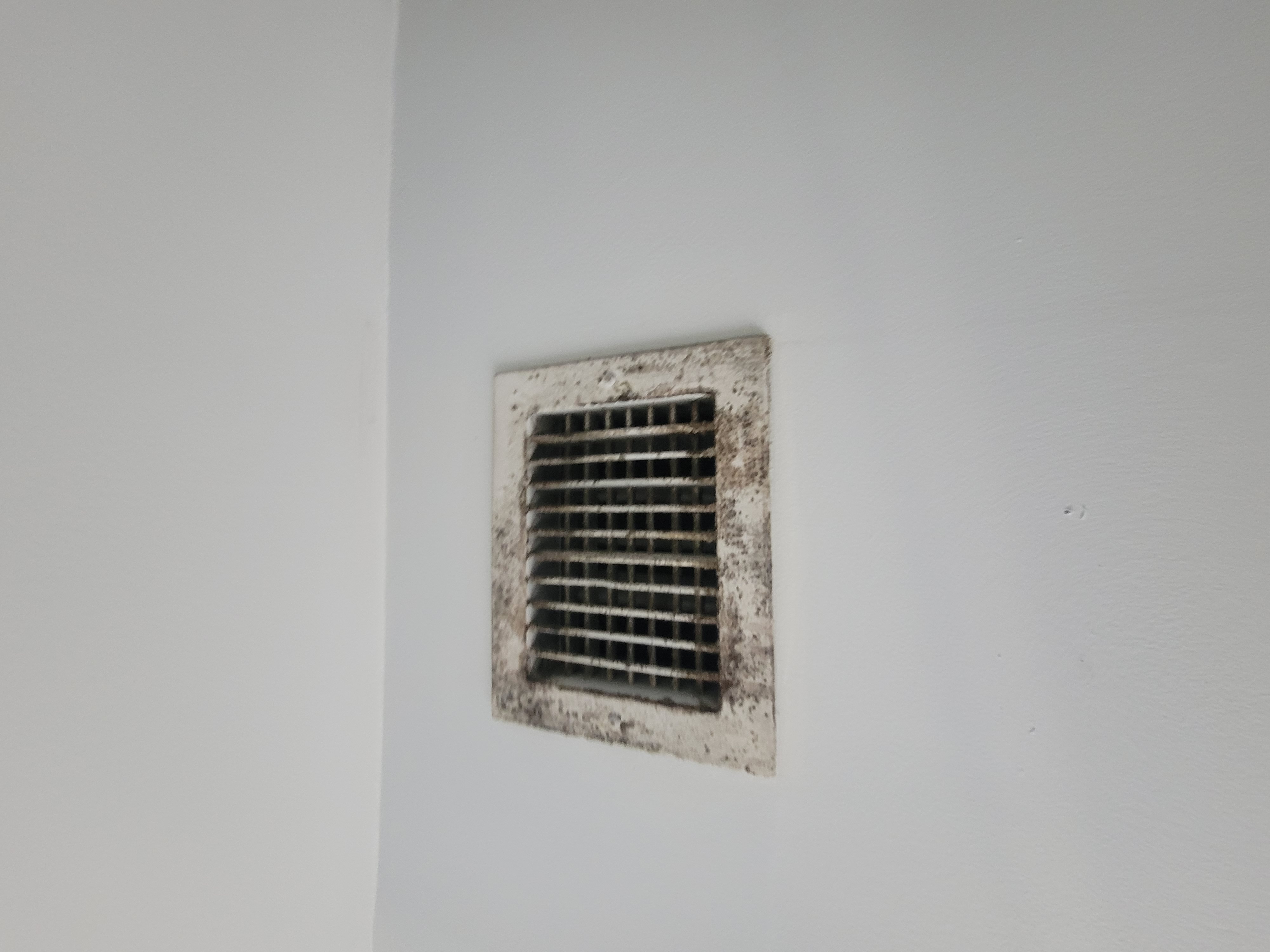 Mold growth found in HVAC vent during South Florida home inspection - affects pet and human health